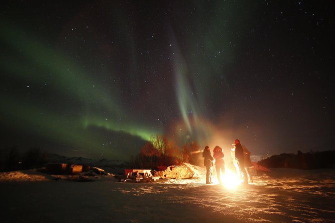 Northern lights photography tour - Comfort Details That Keep the Hunt from Becoming Miserable