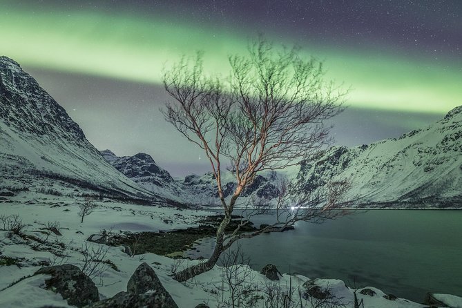 Northern Lights Private tour with your special ones - Greenlander - Tromsø 6.00 pm timing: why this tour starts late