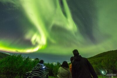 Northern Lights Private tour with your special ones – Greenlander