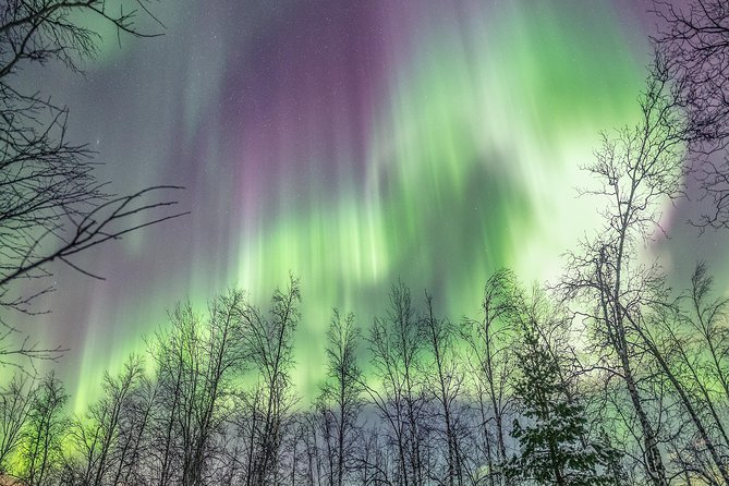 Northern Lights Private tour with your special ones - Greenlander - What’s included, and why it’s good value for a long night
