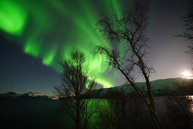 Northern lights - TeslaX Ecofriendly Car - Stop by stop: how the tour handles cloud cover and timing