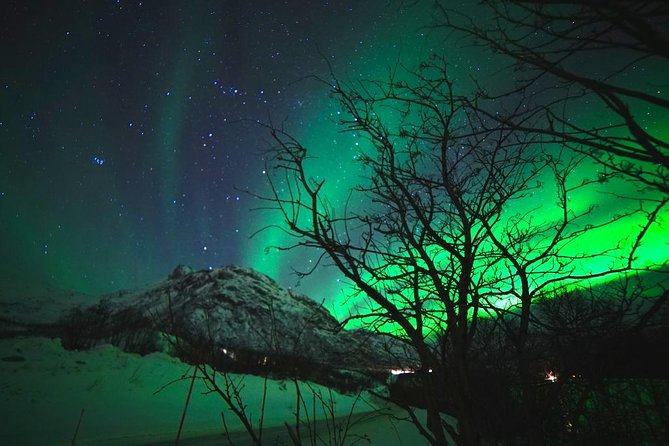 Northern lights - TeslaX Ecofriendly Car - Warm drinks and a snack: small comfort, big effect