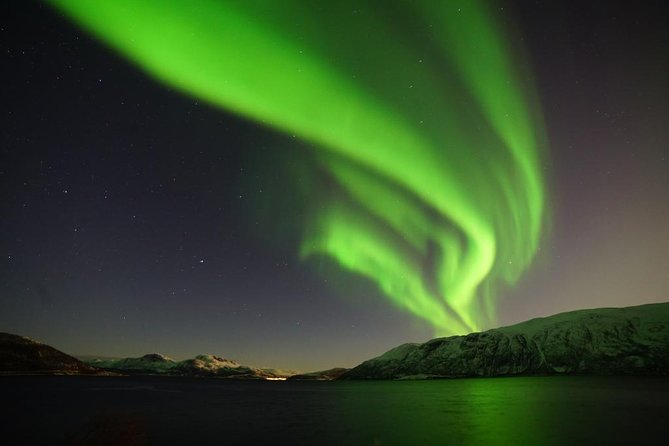 Northern lights - TeslaX Ecofriendly Car - Kurt Arild’s Tromsø style: why a small group helps