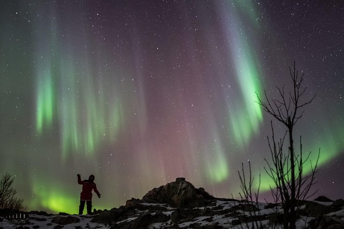 Northern Lights tour - All inclusive - Northern Horizon - Why this Tromsø aurora hunt starts with smart weather checks