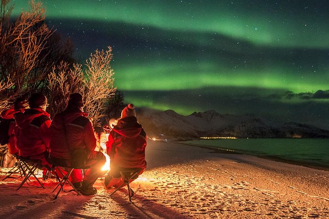 Northern Lights Tour from Tromsø - How the Aurora Chase Works When Clouds Refuse to Cooperate