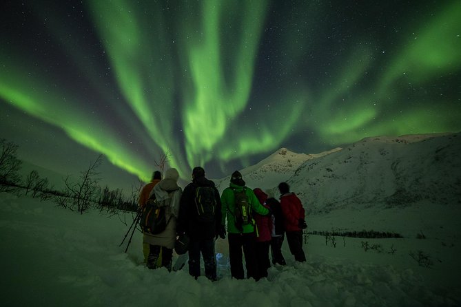 Northern Lights Tour from Tromsø - Photos the Next Day, Plus Tips That Save Your Battery