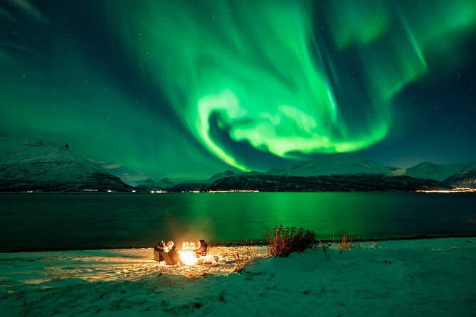 Northern Lights Tour, Photo, Toilet, Meal, Skycam in Mbus - Why This Aurora Tour Feels Different in Tromsø
