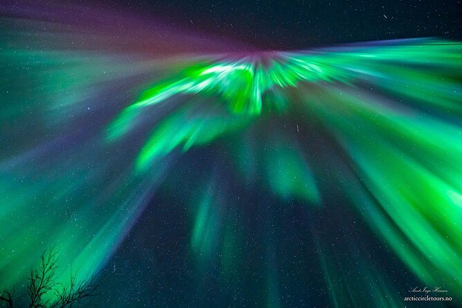 Northern Lights Tour, Photo, Toilet, Meal, Skycam in Mbus - Key Things You’ll Care About Most
