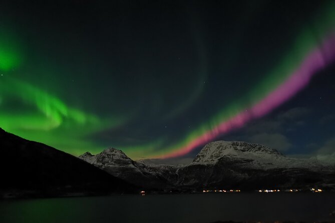Northern Lights Tour, Tromso, Local Guide, Private Basecamp - Key points to know before you go