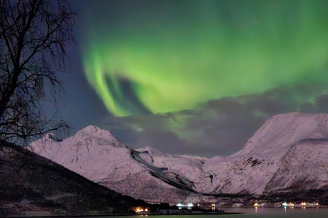 Northern Lights Tour, Tromso, Local Guide, Private Basecamp - Meeting at Magic Ice Bar, then straight to Basecamp Wilderness