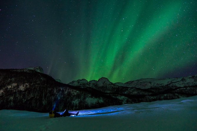 Northern Lights tour with Alta Adventure - Your odds: what up to 90 percent really means