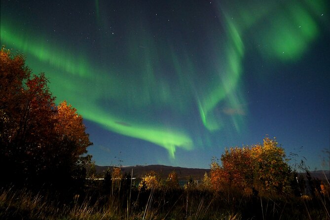 Northern Lights tour with Alta Adventure - Guides and group feel: up to 13 people, usually locals