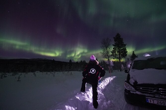 Northern Lights tour with Alta Adventure - Pickup, timing, and where to meet in Alta