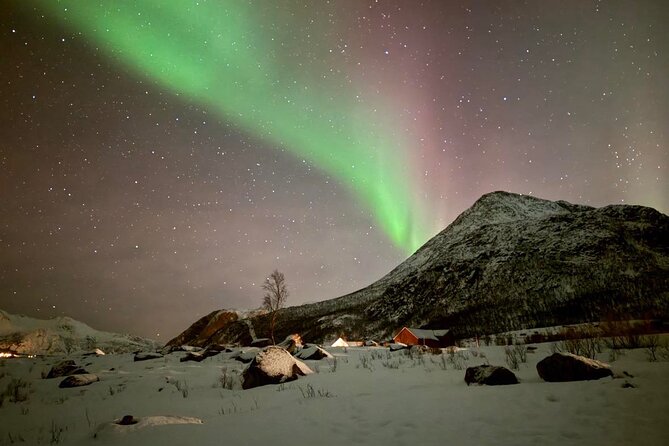 Northern Lights Tour with Hot Food and Drinks in Tromso - Why Tromso’s northern lights hunt feels different at night
