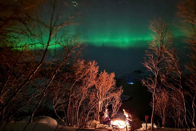 Northern Lights Tour with Hot Food and Drinks in Tromso - The aurora hunt routine: stops, checks, and photo timing