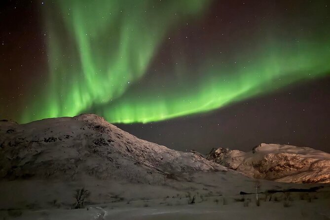 Northern Lights Tour with Hot Food and Drinks in Tromso - Stop in Tromsø: where the evening really starts