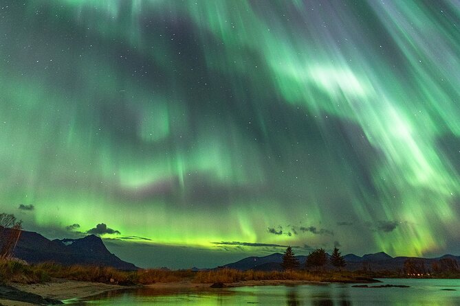 Northern Lights Tour with Local Guide and Photos - Troms stop: aurora spotting, camp warmth, and guide photo help