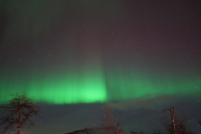 Northern Lights Tour with Local Guide and Photos - Aurora expectations: the guide helps, but nature still wins