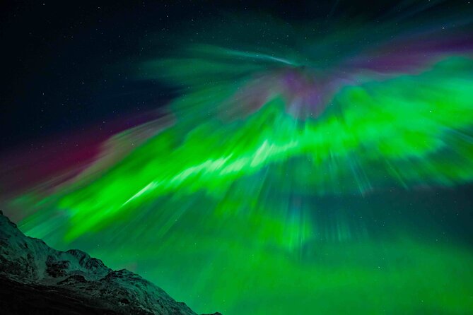 Northern Lights Tour with small group of 8 people - Who should book this Northern Lights chase, and who might not need it