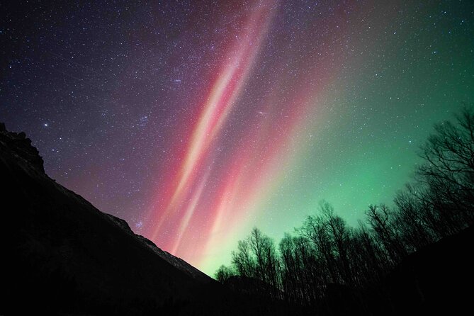 Northern Lights Tour with small group of 8 people - What happens after you arrive: cozy bonfire, soup, and aurora time