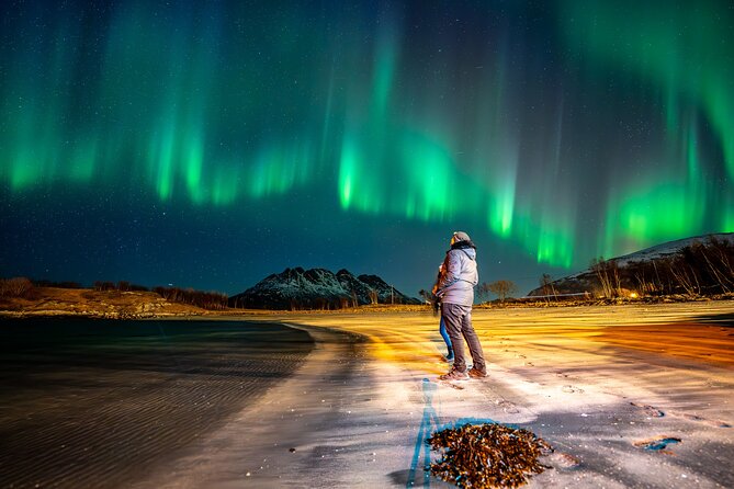 Northern Lights Tours Bodo Norway - What 6 to 8 hours feels like in practice