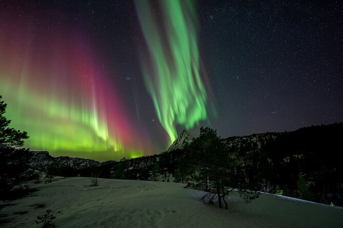 Northern Lights Tours Bodo Norway - Price and value: what $223.73 is buying you