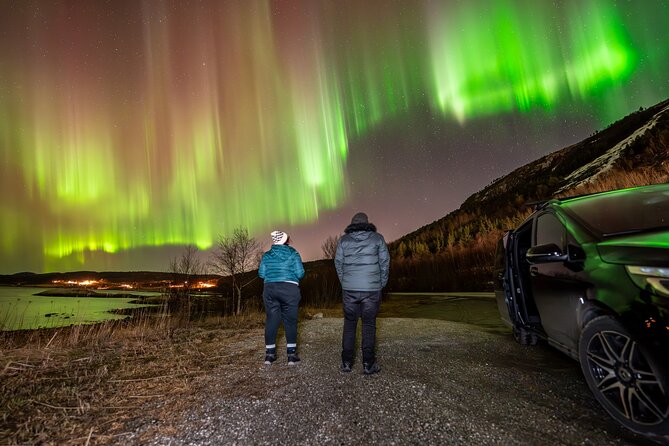 Northern Lights Tours Bodo Norway - Who this tour fits best