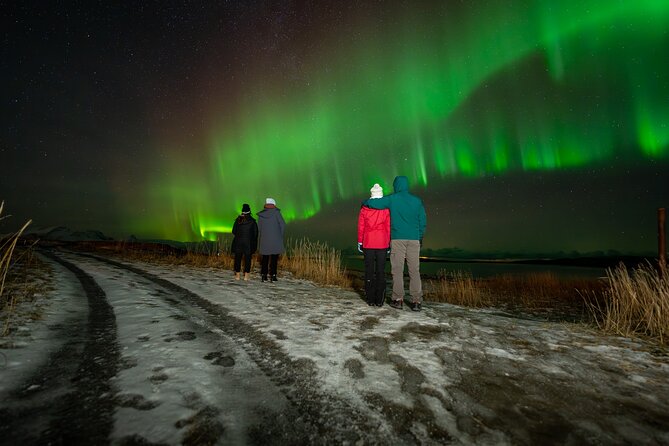 Northern Lights Tours Bodo Norway - The van experience: heated comfort and a roof for your neck