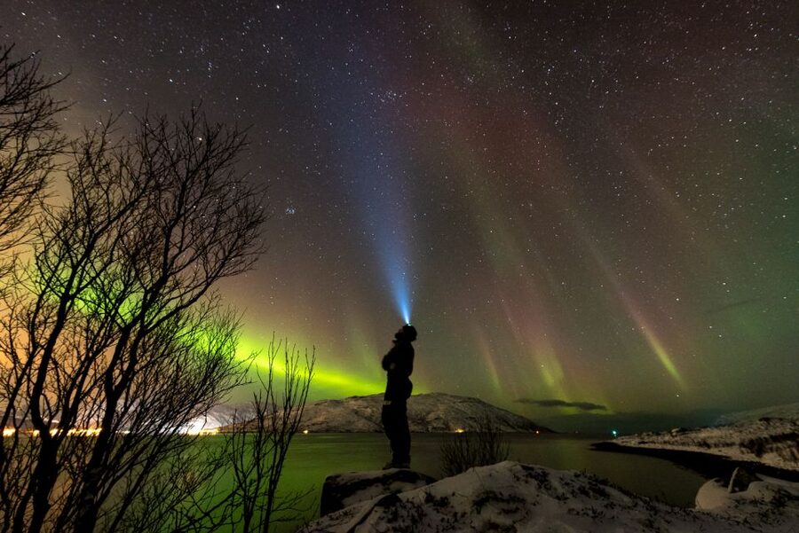 Northern lights Tromsø - small group tour with local guide - Key highlights worth your attention