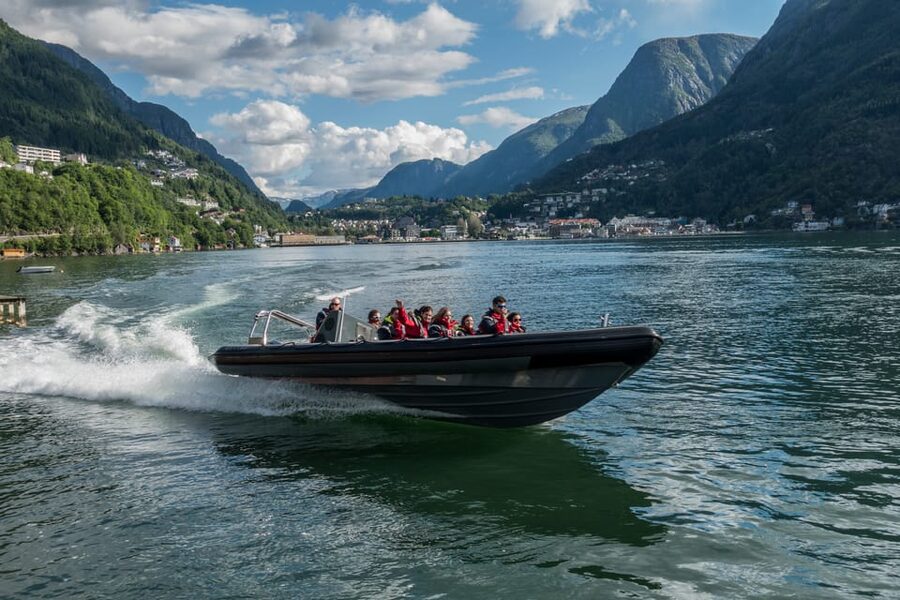Odda: RIB Boat Tour on the Hardangerfjord - Steep fjord views and wildlife scanning, with the guide doing the talking