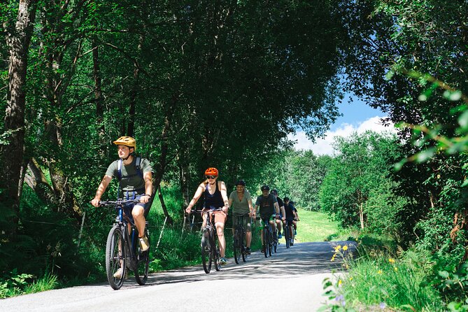 Olden: Fjord e-bike tour - Key highlights worth planning around