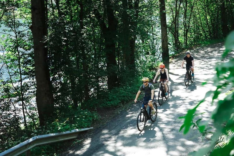 Olden: Guided e-bike tour - The simple reason this tour works in Olden