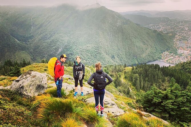 On Top of Bergen - Public Tour - What you actually learn from the guides: stories, snacks, and local know-how