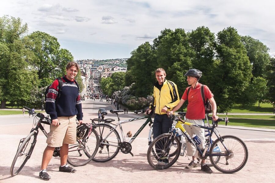 Oslo: 3-Hour Highlights Bike Tour - Karl Johans Gate: Oslo’s classic boulevard between institutions