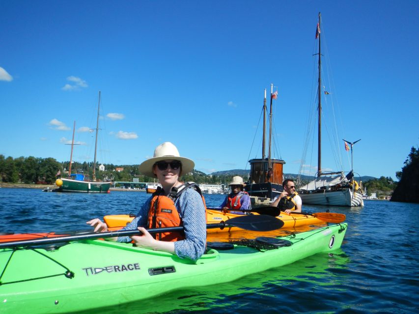 Oslo: 3-hour Kayaking Trip on the Oslofjord - Who this trip fits best