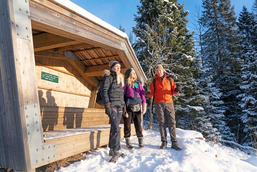 Oslo: Best View of the Oslofjord Winter Edition - Fuglemyrhytta cabin: the hygge stop with views worth pausing for
