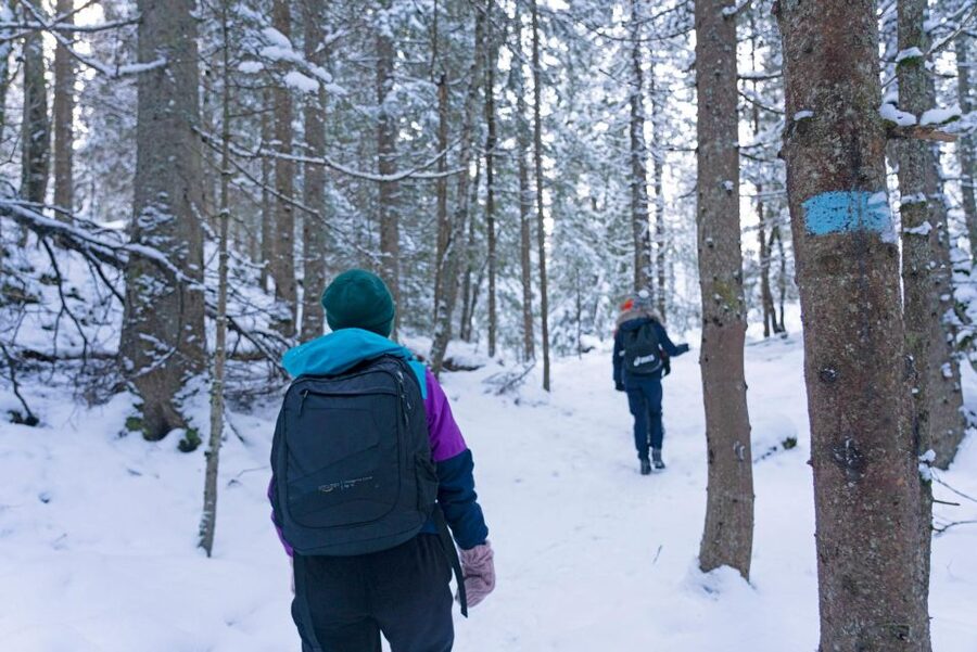 Oslo: Best View of the Oslofjord Winter Edition - Returning down: hiking back to the metro and ending near Oslo Central