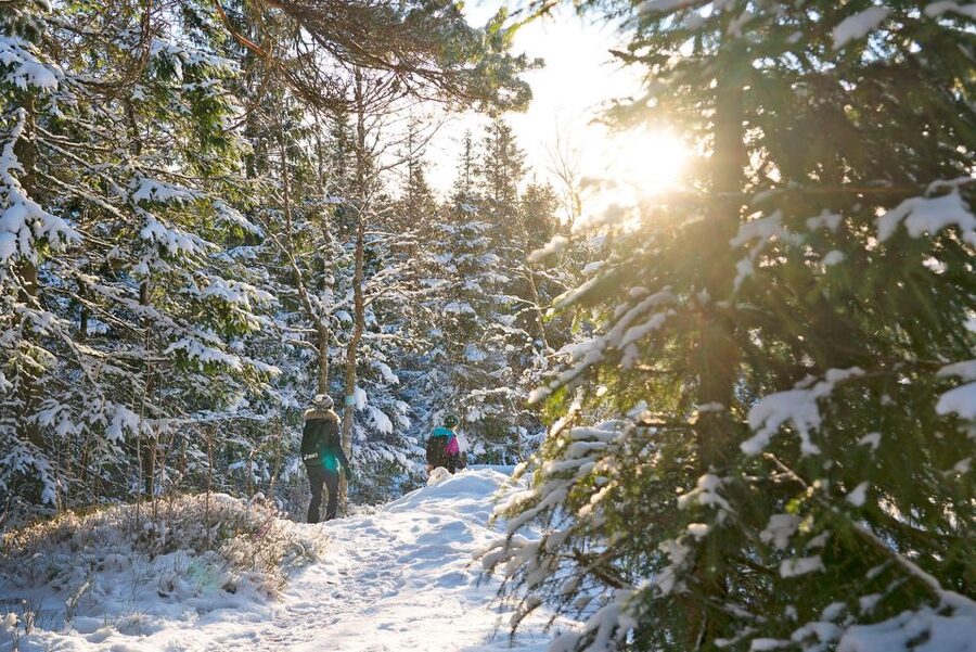 Oslo: Best View of the Oslofjord Winter Edition - Price and value: what $105 buys in winter safety and time