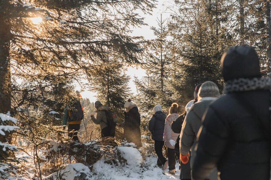 Oslo: Best View of the Oslofjord Winter Edition - The snowy forest hike: steady footing, short-story stops, and good winter pacing