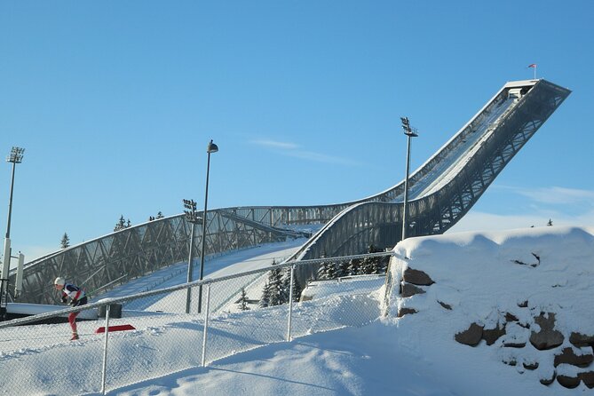 Oslo City Highlights with Fjord Cruise - Vigeland Sculpture Park: The Guided Walk That Makes Art Click