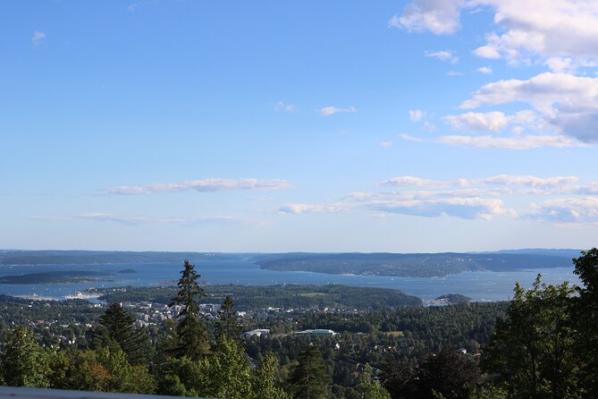 Oslo City Highlights with Fjord Cruise - Oslofjord on an Electric Boat: Calm Views, Silent Commentary, Smart Phone Prep