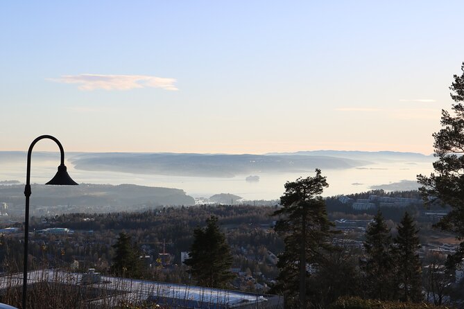 Oslo City Highlights with Fjord Cruise - Who Should Book This Tour, and Who Might Prefer Something Else