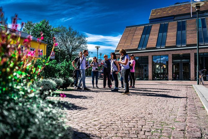 Oslo City Private Walking Tour - What the private format really changes in Oslo