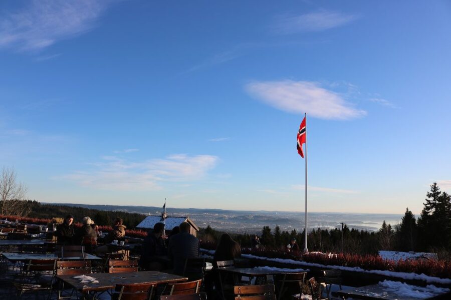 Oslo: Guided Oslo Highlights Tour by bus & Oslofjord cruise - Price and value: what $110 buys in real experience time