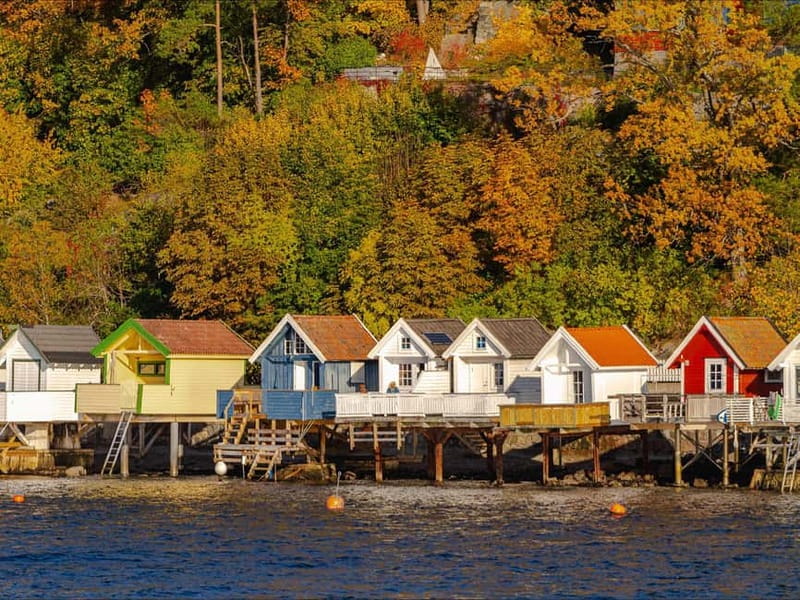 Oslo: Guided Sightseeing Fjord Cruise on Premium Silent Boat - The guide is the difference between seeing Oslo and understanding Oslo