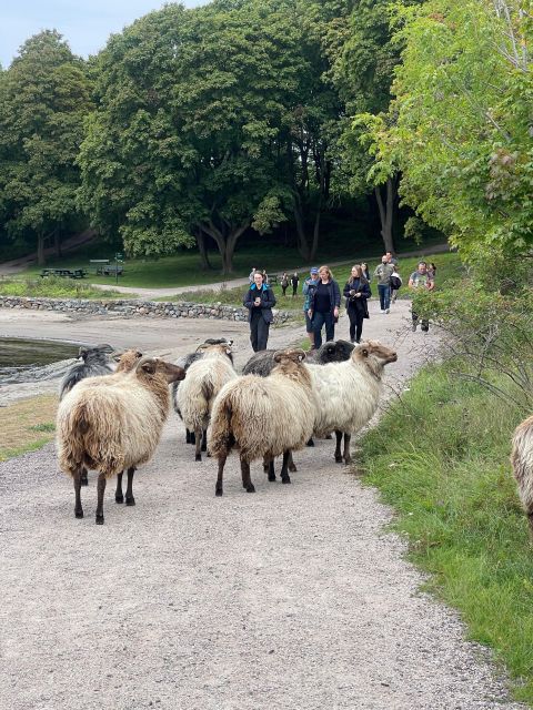 Oslo Island Walks: Island Hopping Tour - Gressholmen: open fields, forest paths, and calm fjord breaks