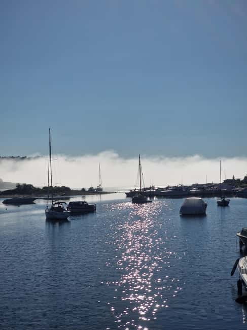 Oslo: Malmøya most beautiful Island Guided Hike-Waffle&Drink - Price and What $62 Buys You in Real Terms