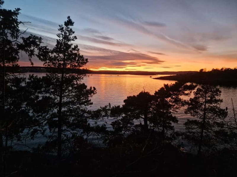 Oslo: Malmøya most beautiful Island Guided Hike-Waffle&Drink - Skinnerbaken Waffle Break: Cozy, Local, and Worth Planning Around