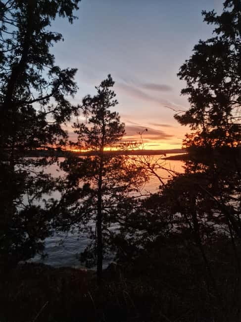 Oslo: Malmøya most beautiful Island Guided Hike-Waffle&Drink - Should You Book the Oslo to Malmøya Hike With Waffle?