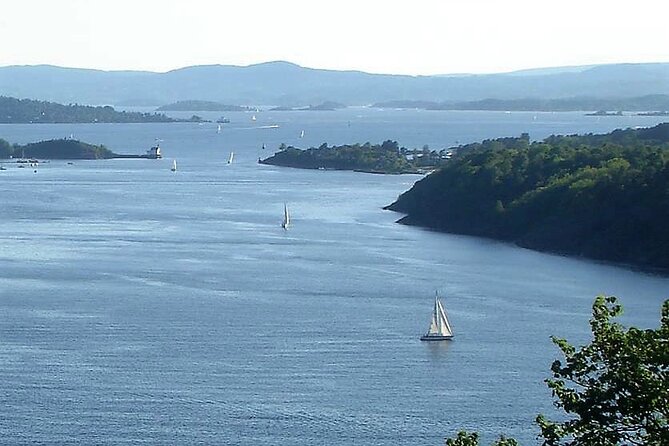 Oslo Nature walks: Forest to Fjord - Stop 2: Vettakollen Viewpoint And How to Picnic Smart